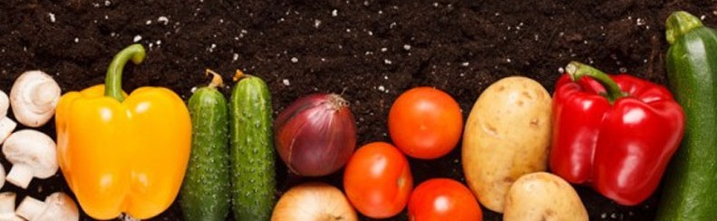Dunedin Vegetable Growers Club